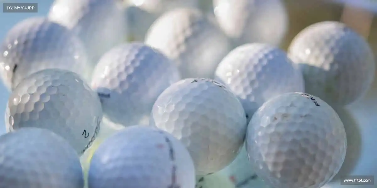 为什么选择我们